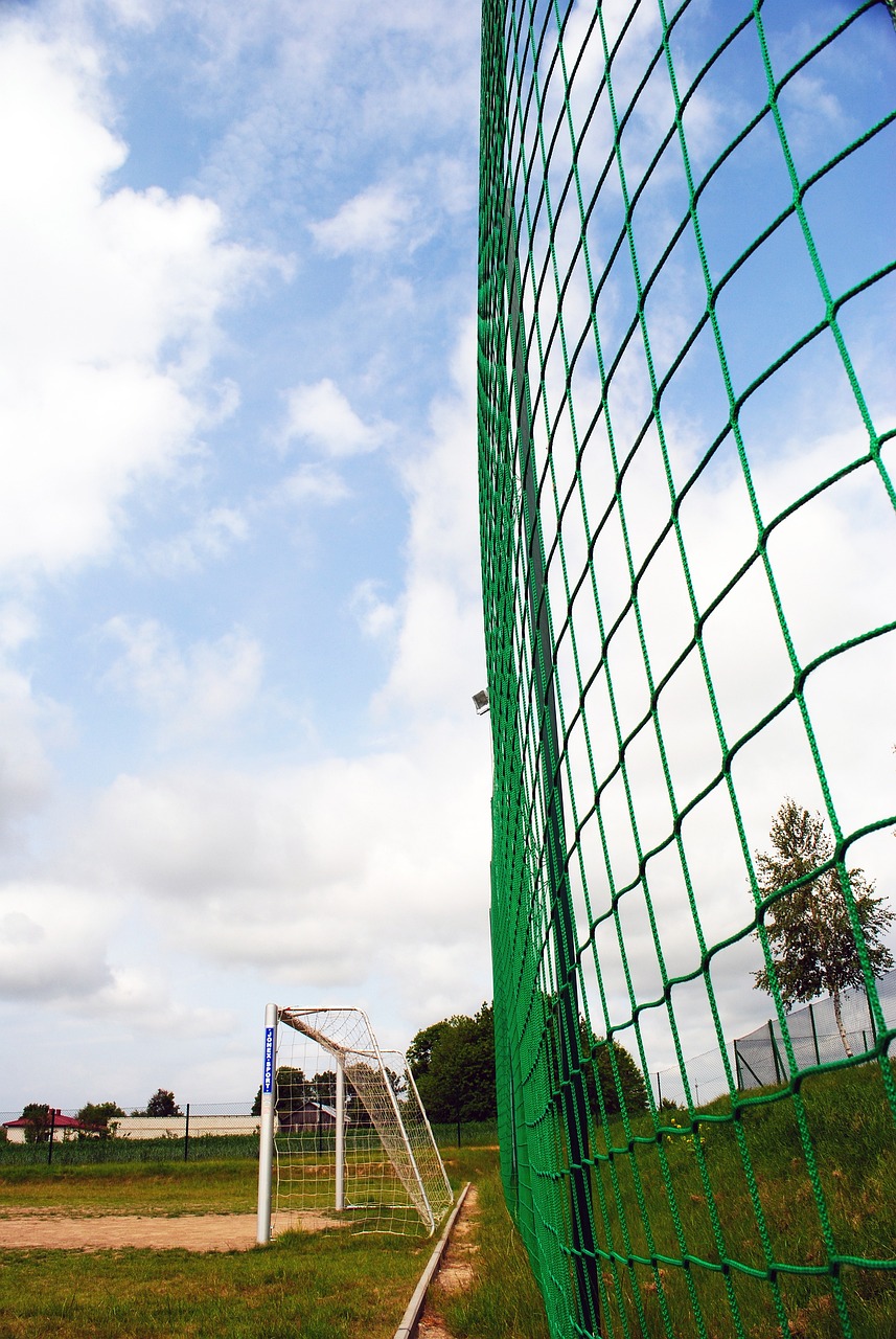 在他的带领 在他的带领