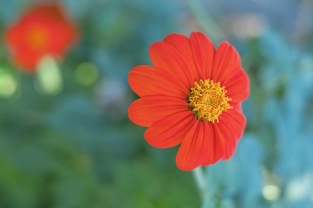 个百分点 个百分点