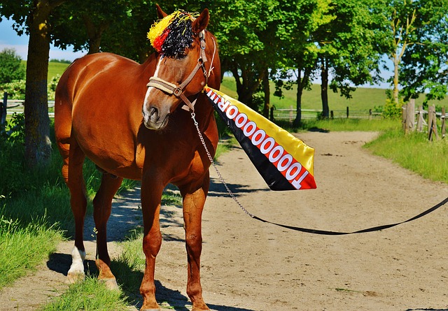 薰的爆发 薰的爆发