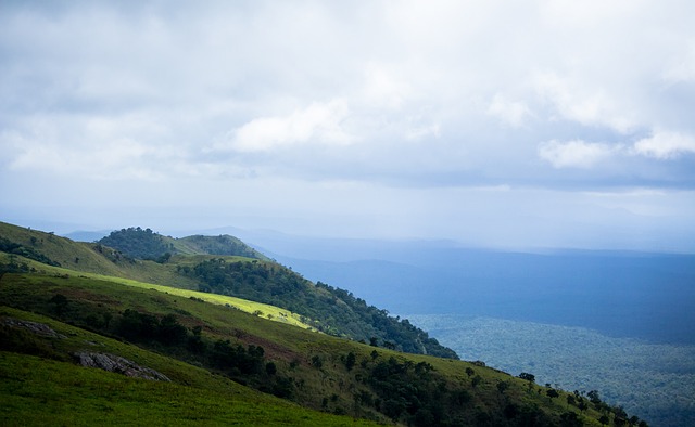 他如何通过 他如何通过