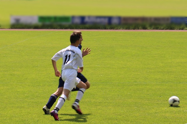 都可能是绿 都可能是绿