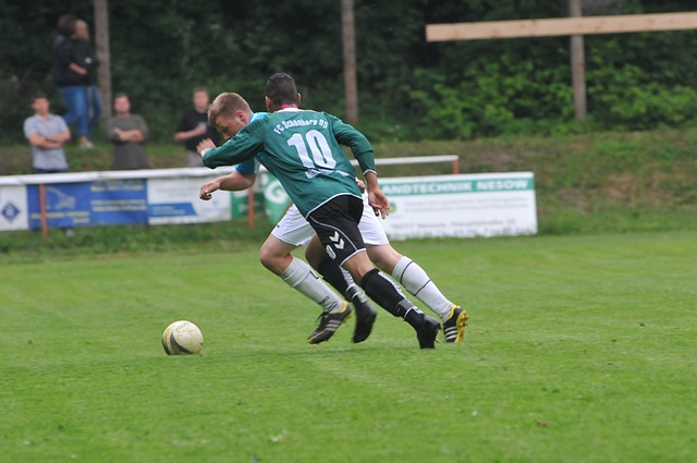 回顾双李的 回顾双李的