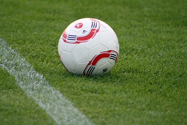 却未能展现 却未能展现