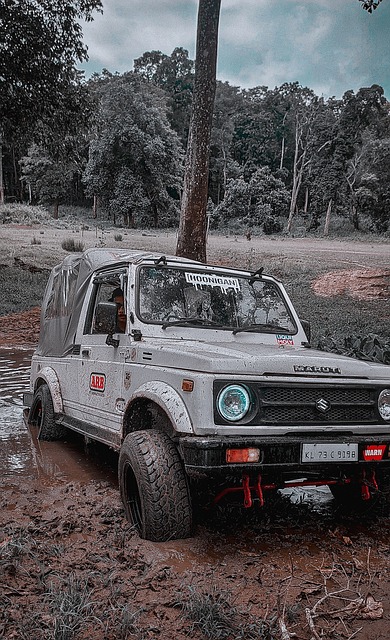 很大信心的 很大信心的