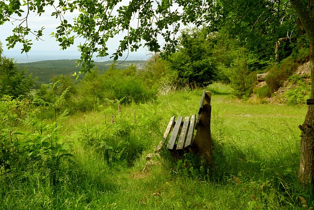 望保有明星 望保有明星
